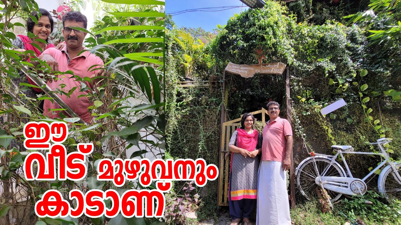 വീട് മുഴുവൻ കാടാക്കി മാറ്റിയ ദമ്പതികൾ.