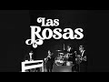 Video de Las Rosas