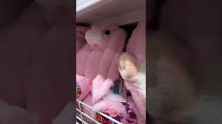 #soft toys #mr diy