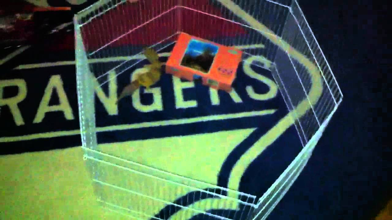 Playpen for my Leopard Gecko YouTube
