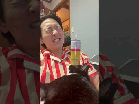 실제 작동하는 고양이 음료수 거치대 thumbnail