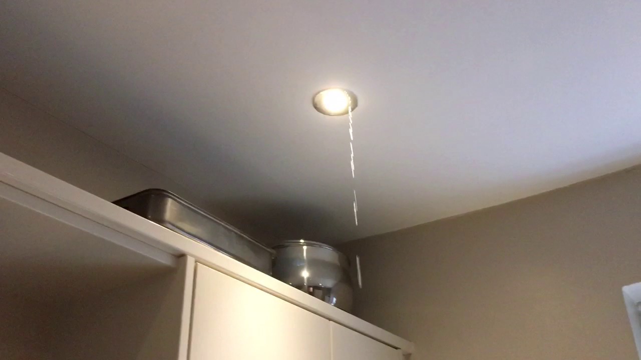 Water Leak From Upstairs Flat Youtube