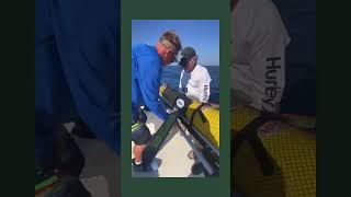 Take a trip on a glider deployment in the Gulf of Mexico