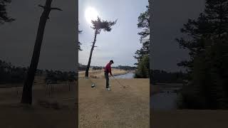 24년 2번째 라운드.  I died yesterday ! #골프 #golf #골프스윙 #golfswing