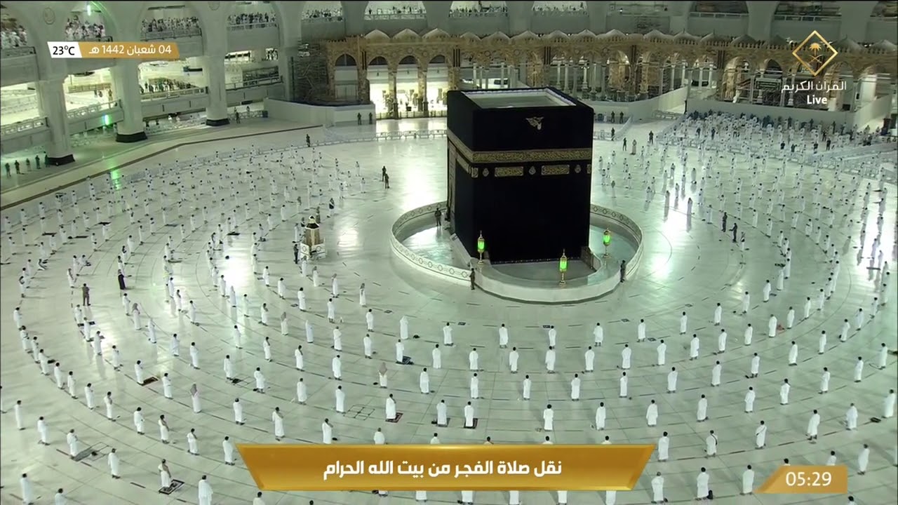 (إن أصحاب الجنة اليوم في شغل فاكهون) الشيخ بندر بليلة يترنم بالقرآن بتلاوة  من سورة يس فجر 4-8-1442