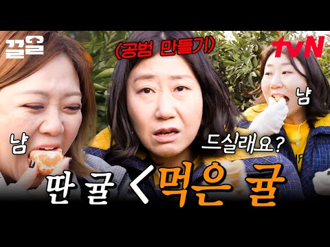 <strong>귤</strong> 따자마자 입으로 직행하는 라미란X김숙 | 주말사용설명서