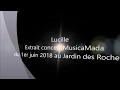 Lucille - Michel Jonasz - Extrait du Concert MusicaMada 2018