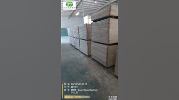 wood plastic construction shuttering plywood Formwork board factory wpc concrete slabs forms 3/4 5/8