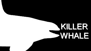 Stick Nodes orca test 2