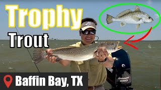 Fishing for BIG Speckled Trout with Live Croaker | Baffin Bay, Texas