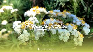KASIH DALAM AKSI | Renungan Harian®