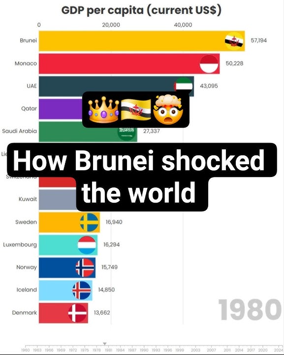 🇧🇳 How Brunei Shocked the World in GDP per Capita #shorts #shortvideo #ranking #curiosity