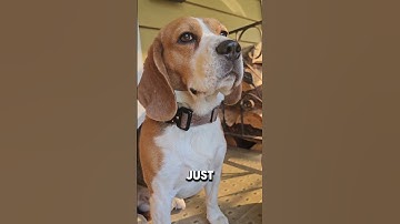 Unleash Your Potential: The Ultimate Guide to Success