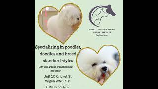 our sister groomer has availability this weekend she's amazing so talented #dog #dogsalon #wigan