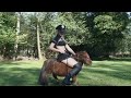 Grils Big Small Pony Rides Grils Big Small Pony Rides
