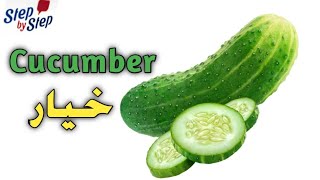 نطق كلمة Cucumber خيار 🗣️