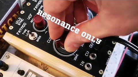 Wildsync FATMOOG VCF eurorack module