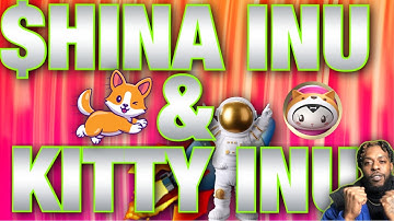 Hina Inu [$HINA] , and Kitty Inu News Update! #hinainu #flokiinu #about #tokenomics