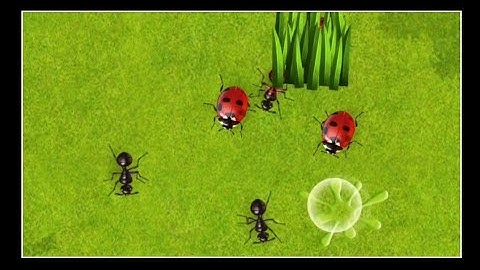 🇦🇺 Lockdown FUN !! Bug Squash game🐞🪲🐜🦗🦟