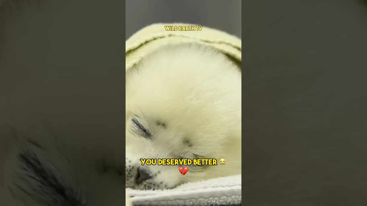 He Died of a Broken Heart 😭💔 