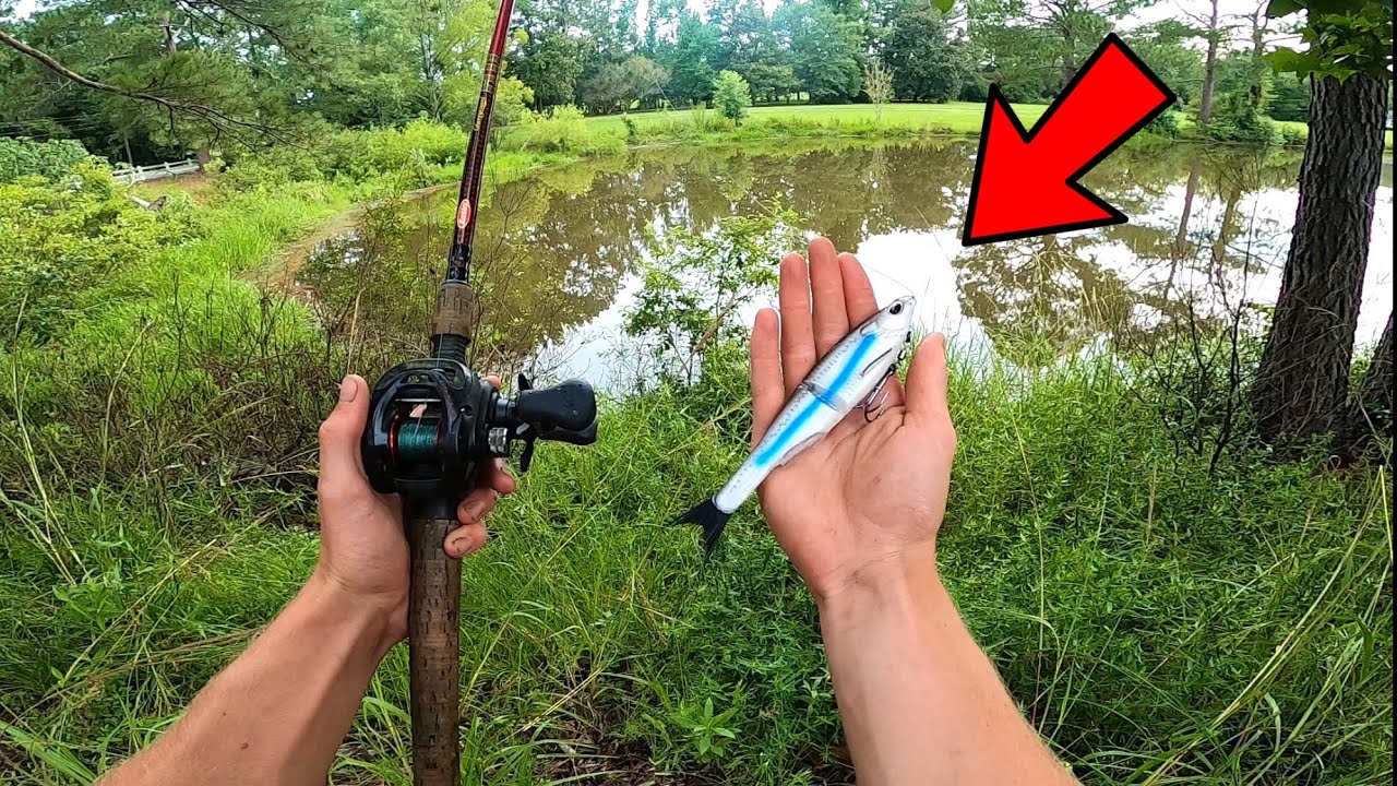 I tested out Walmart’s CHEAPEST Glide-Bait!! (GIANT BASS)