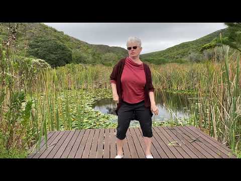 Shaking Qigong with Jan Bull, LAc.