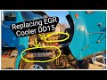 Replacing EGR Cooler on 2011 Freightliner Coronado with DD15