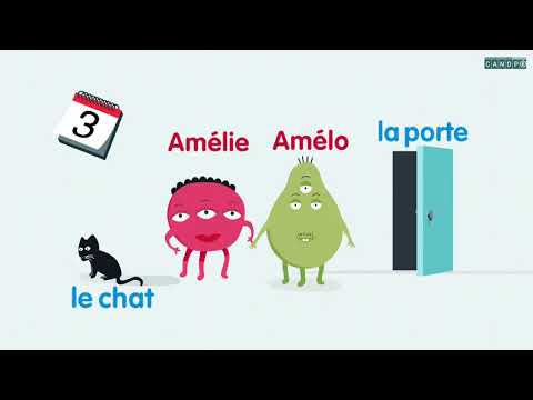 VIDEOS CE 1 - Les noms propres les noms communs - CANOPE LES FONDAMENTAUX