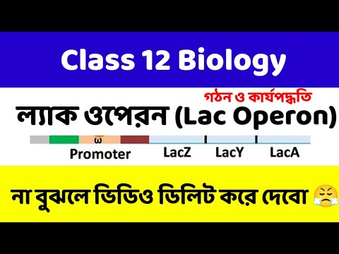 ভিডিও: কেন অপারন দমনযোগ্য?