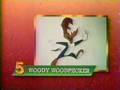 Wnewtv  promowoody woodpecker opening and bumpers  1986