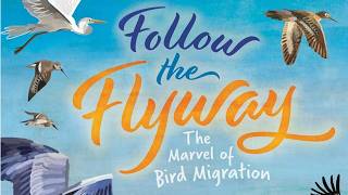 Follow the Flyway: The Marvel of Bird Migration by Sarah Nelson | STEAM Read Aloud for Kids