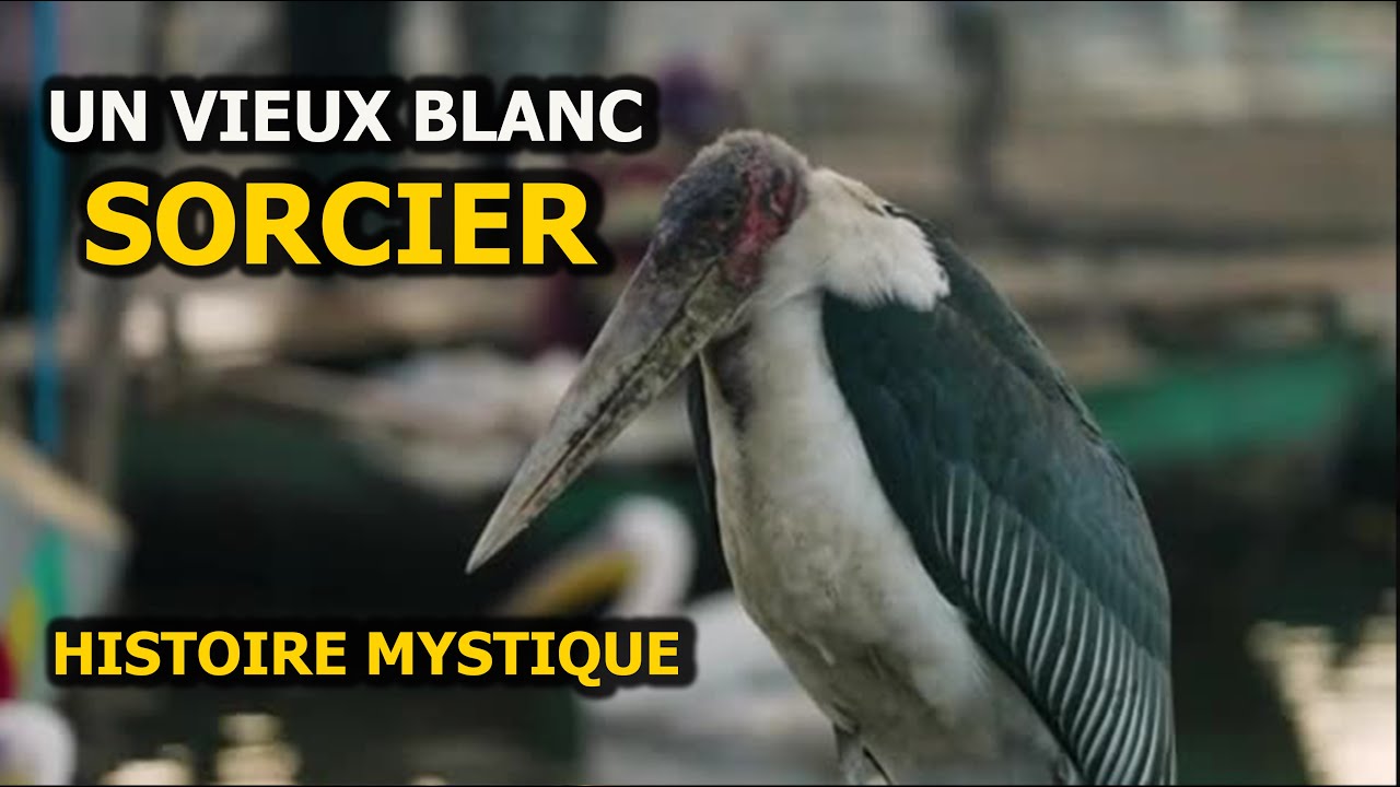 UN VIEUX BLANC SORCIER ... HISTOIRE MYSTIQUE - DMG TV