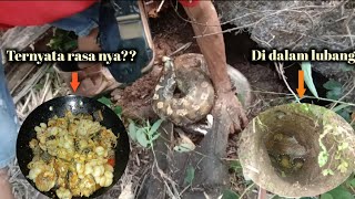 DIG A SNAKE HOLE IN DIPONG / RIPONG || AND WE COOK IT IMMEDIATELY, IT TURNS OUT THE TASTE IS...