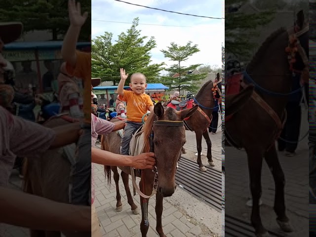 Kuda ( Dede Al naik kuda di pasar tumpah ASI) class=