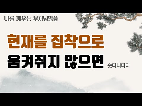 현재에도 집착으로 움켜쥐지 않으면 [나를 깨우는 부처님말씀]