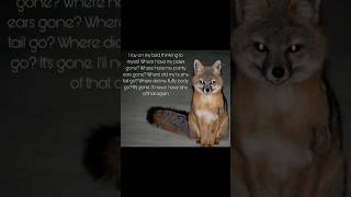 Understand.. Flash Warning ?