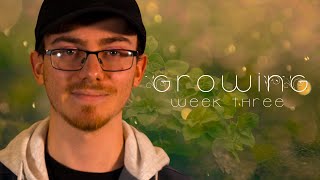 Growing | A New Sermon Series | Week 3 by First Methodist Church Jonesboro 184 views 1 year ago 7 minutes, 1 second