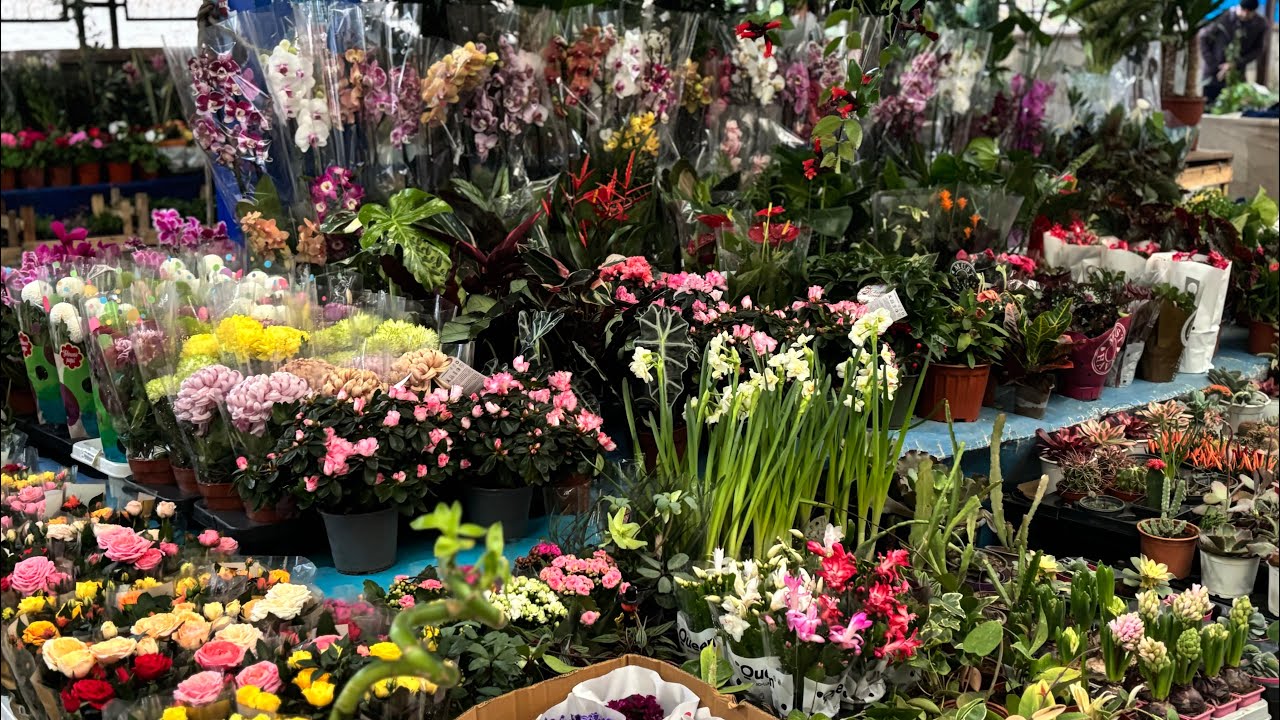 10 Ocak 2026 Aydın Nazilli 