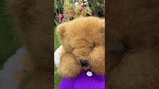 Adventures of Barney The Bear - Barney discovers the ladybird trees
