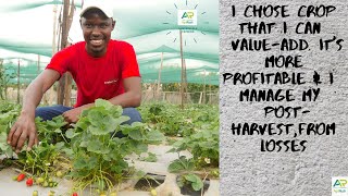 It's a ''Berry nice'' story! - meet Evans who grows strawberries, value adds & supports farmers too!