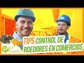 Tips Control de Roedores en Comercios | Pest Control Business