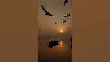 Thumbnail of whatsapp status😍#boating