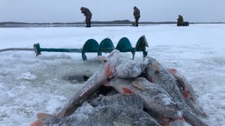 НА КРАЮ ЛЬДА! ПОПАЛ В ЛУНКУ, И ПРЯМО НА СТАЮ!!! Первый лёд продолжается. Зимняя рыбалка 2023-24