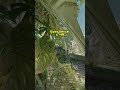 Ancient - Раскид А сайта с одной позиции  #кс2  #cs2