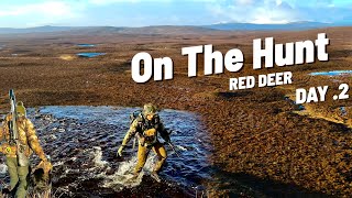 Stalking Red Deer in Scotland ,Open hill Deer management DAY 2