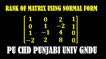 B.SC 1st SEMESTER MATHS | RANK OF A MATRIX USING NORMAL FORM | LECTURE 3
