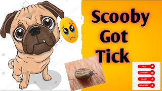 Tick Treatment for Scooby | Scooby veedu | #pugdog #tick #dogs by Scooby Veedu 225 views 8 months ago 8 minutes, 56 seconds