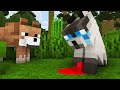 Wolf Life 7: Sad Story About a Wounded Cat - Minecraft Animation