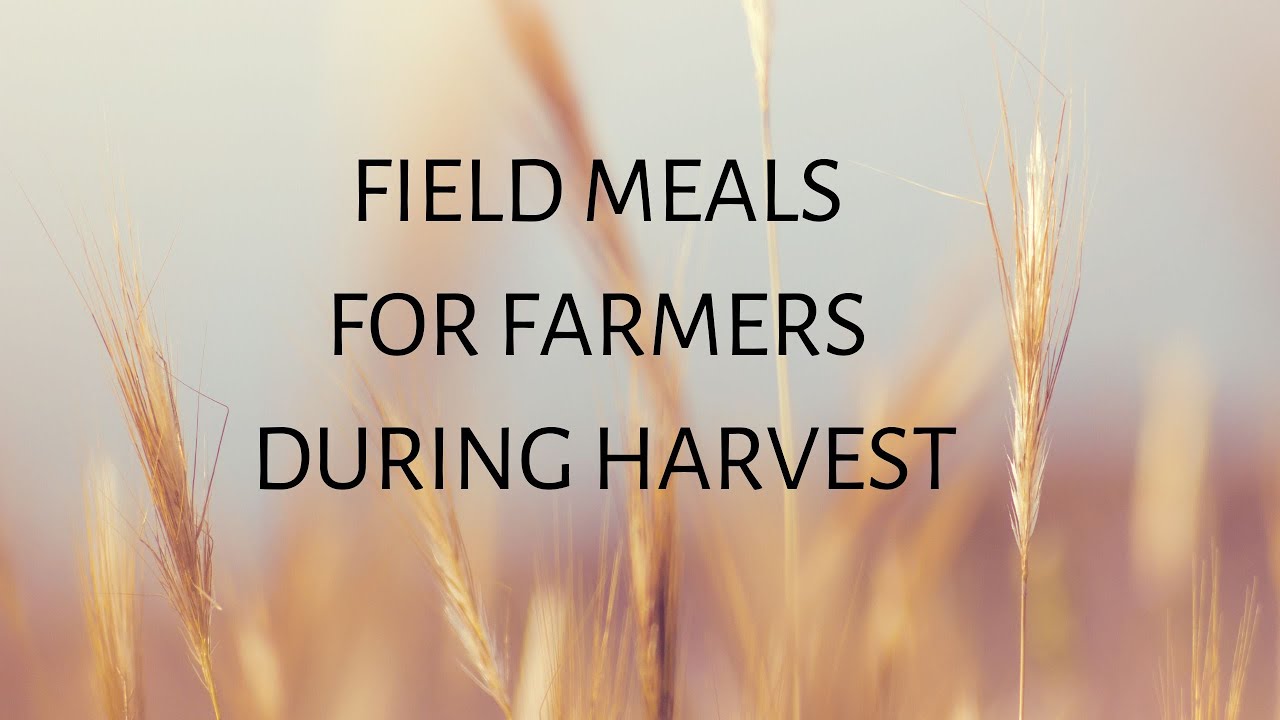 Podcast Episode 1 Field Meals for Farmers During Harvest YouTube
