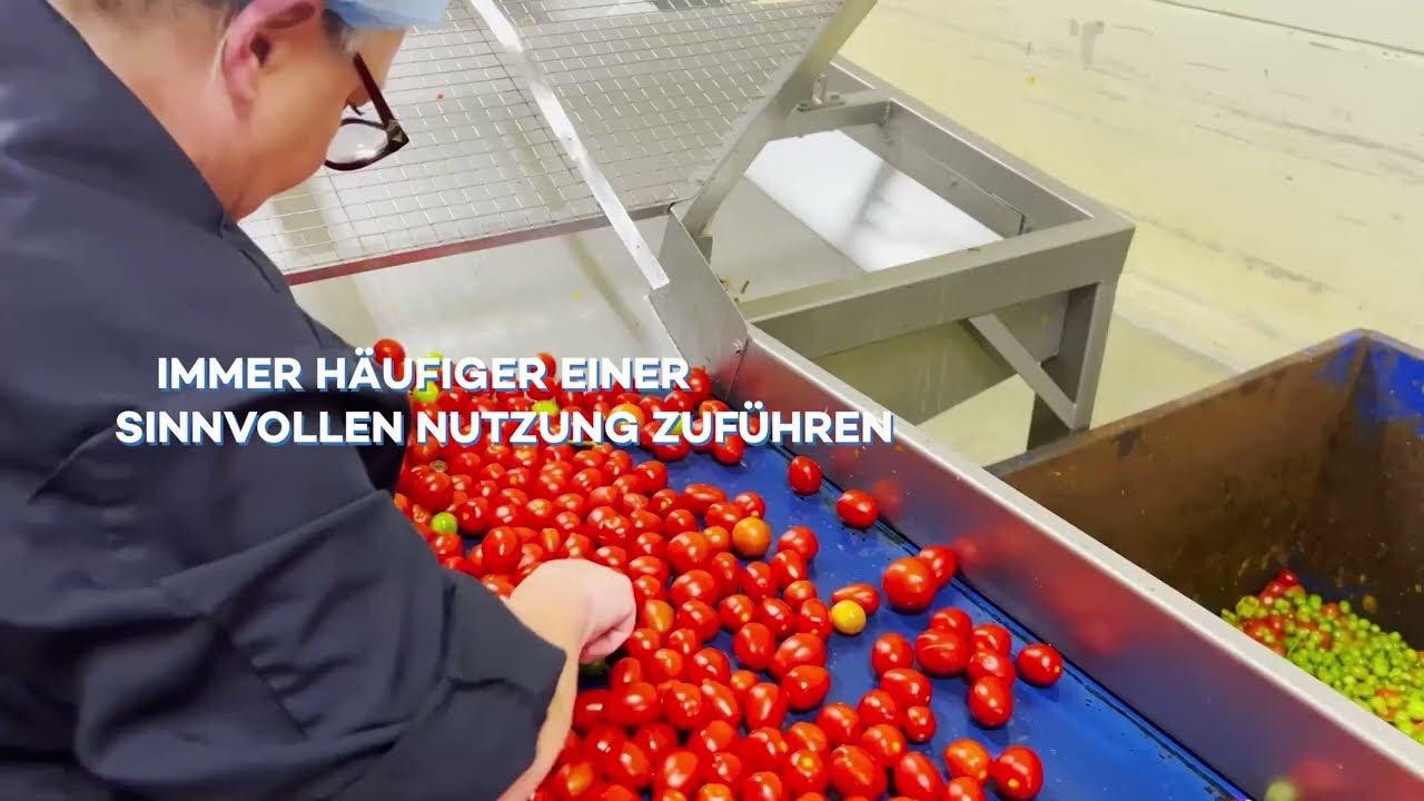 Harvest House in Entwicklung 2023 DE